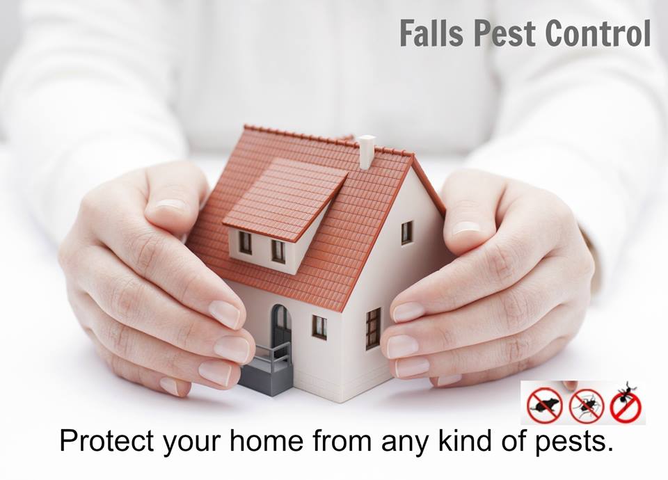 protect your home