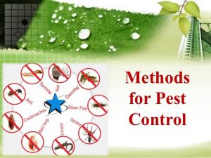 Different Methods of Pest Control