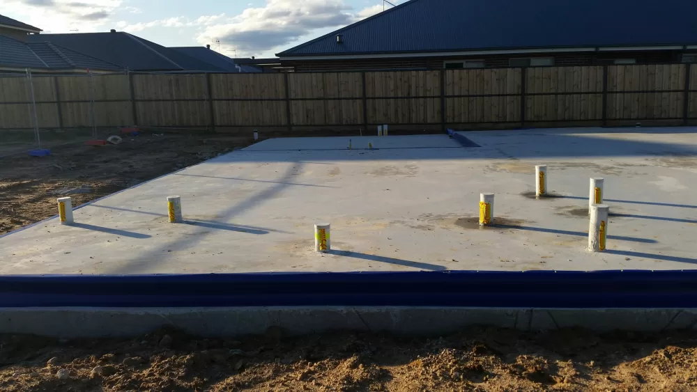 picton-pest-control-resized