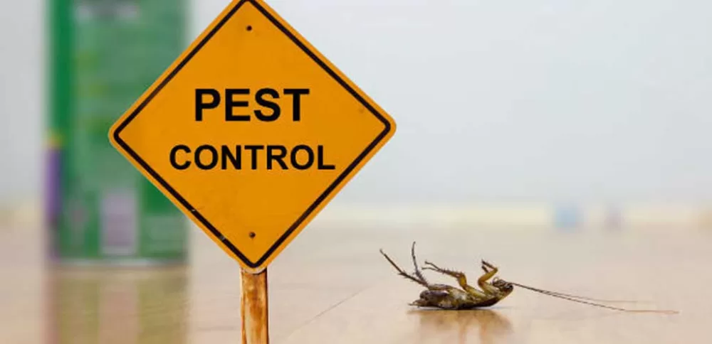 Pest Control Picton